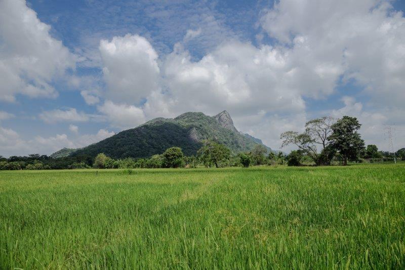Kalundewa Retreat