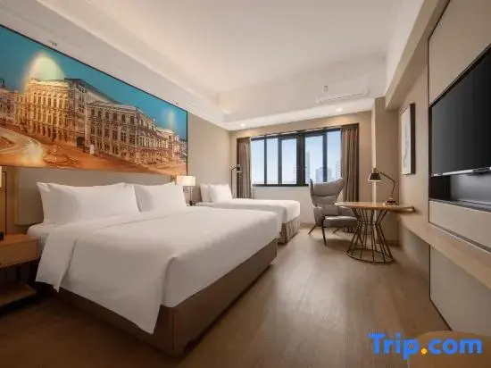 Standard Double room with city view (twin beds)