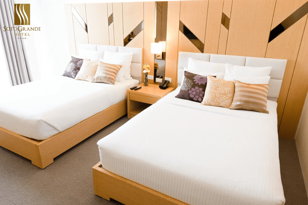 Deluxe Double room (twin beds)