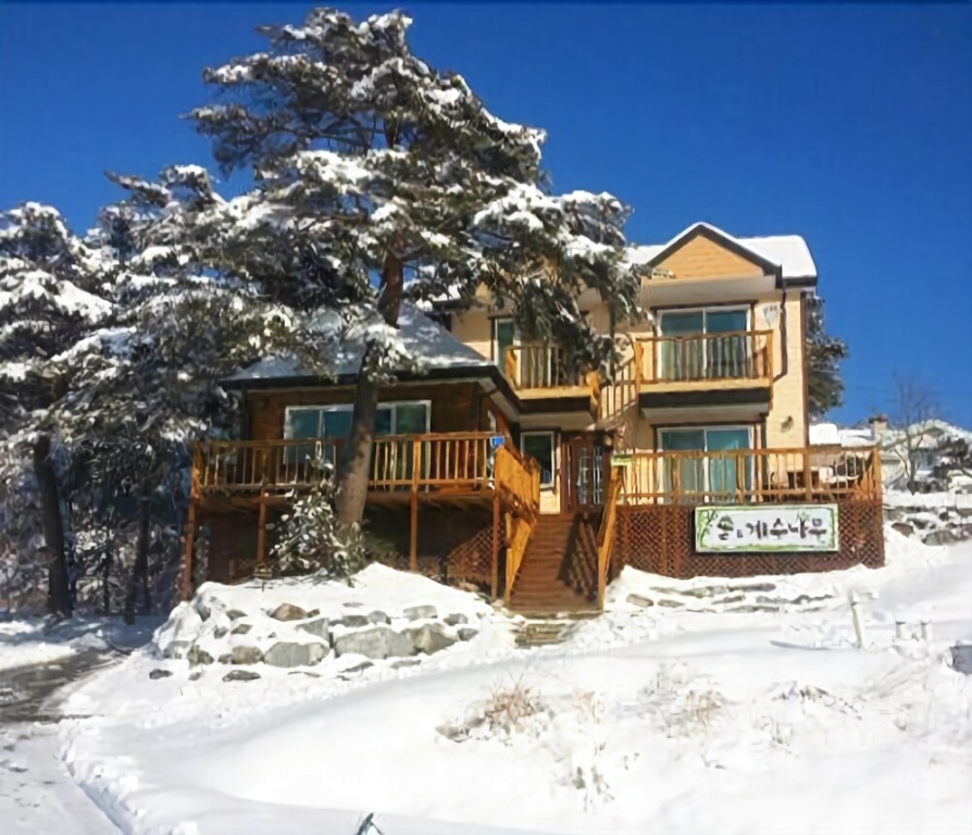 Gangneung Pine & Cinnamon Tree Pension