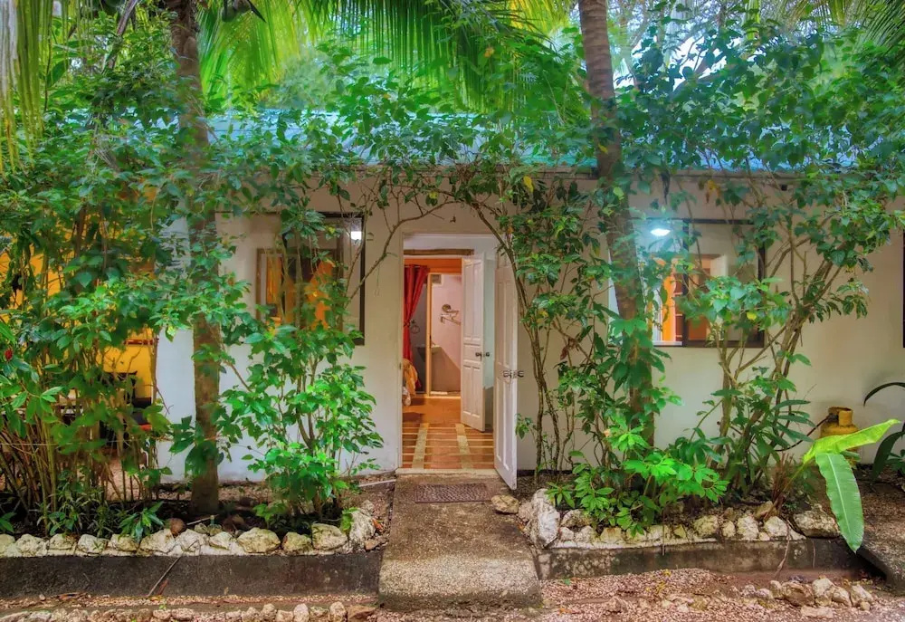 Jungle's Edge: Jiu-Jitsu, Muay Thai & Yoga Retreats - Chambres