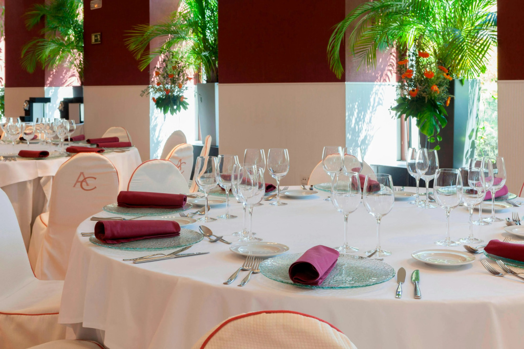 AC Hotel Palacio de Santa Ana by Marriott - Général