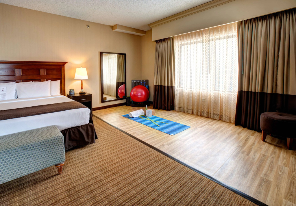 DoubleTree by Hilton Chicago O'Hare Airport - Rosemont - Général