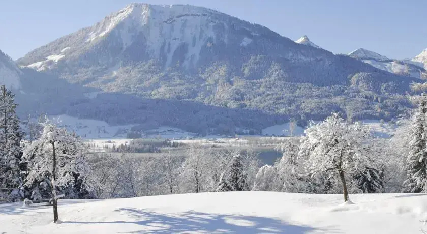 Am Buchberghof
