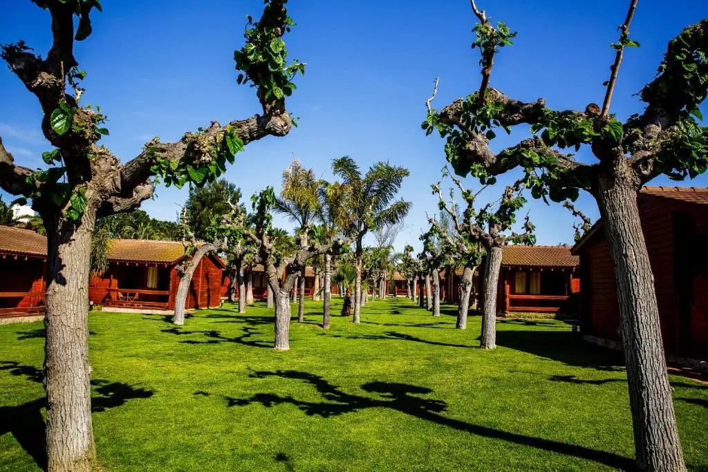 Bungalow