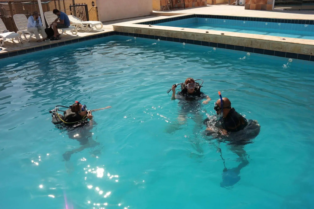 Arab Divers - Général