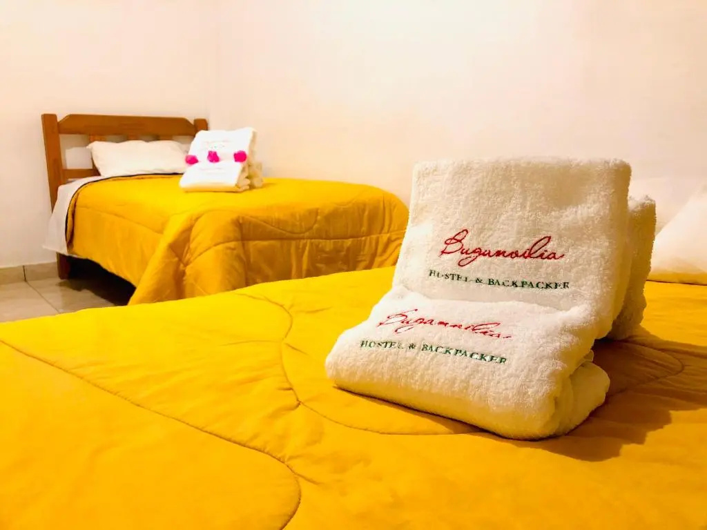 Standard Double room (twin beds)