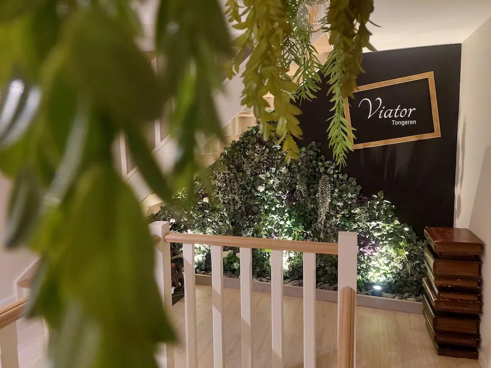 Viator - фото 11