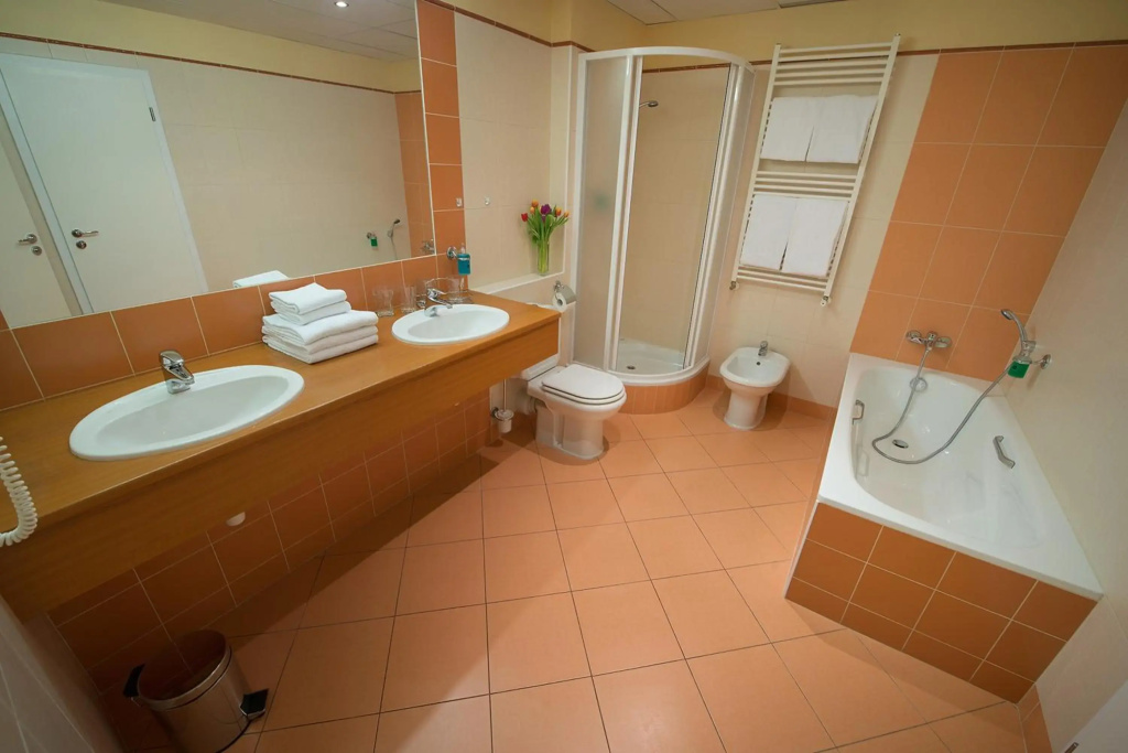 Hotel Grand Litava Beroun - Général
