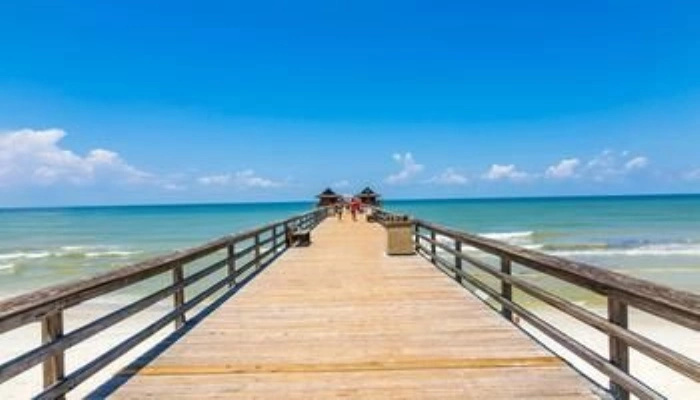 Neapolitan - Newly Renovated 3-BR Luxury Home with Private Pool. Enjoy a Fully Equipped Kitchen and Free Wi-Fi