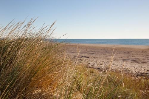 Beach & Waterfront