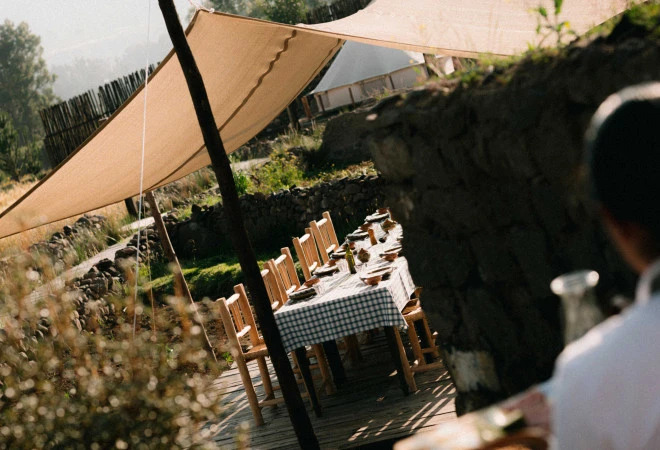 PUQIO by Andean - фото 32