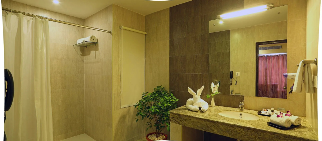 Hotel Renest Tirupati - Général