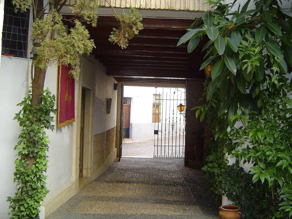 Image 13