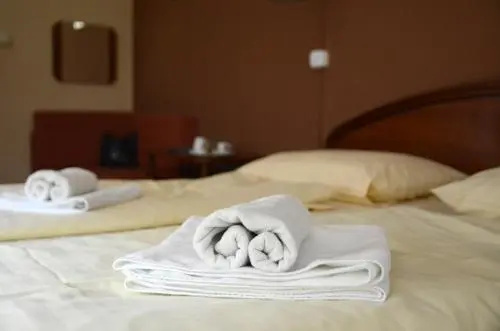 Hotel Minerva - Général