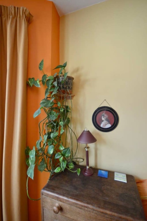 Eclectic Home In Trendy Bristol Suburb