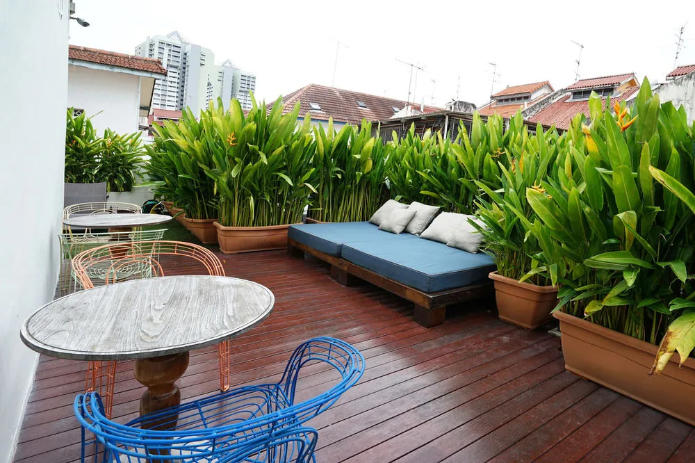 Balcony & Terrace