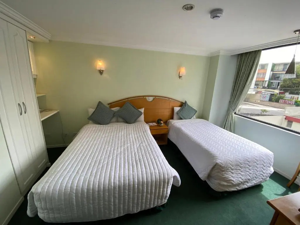 Standard Double room with mountain view (twin beds)