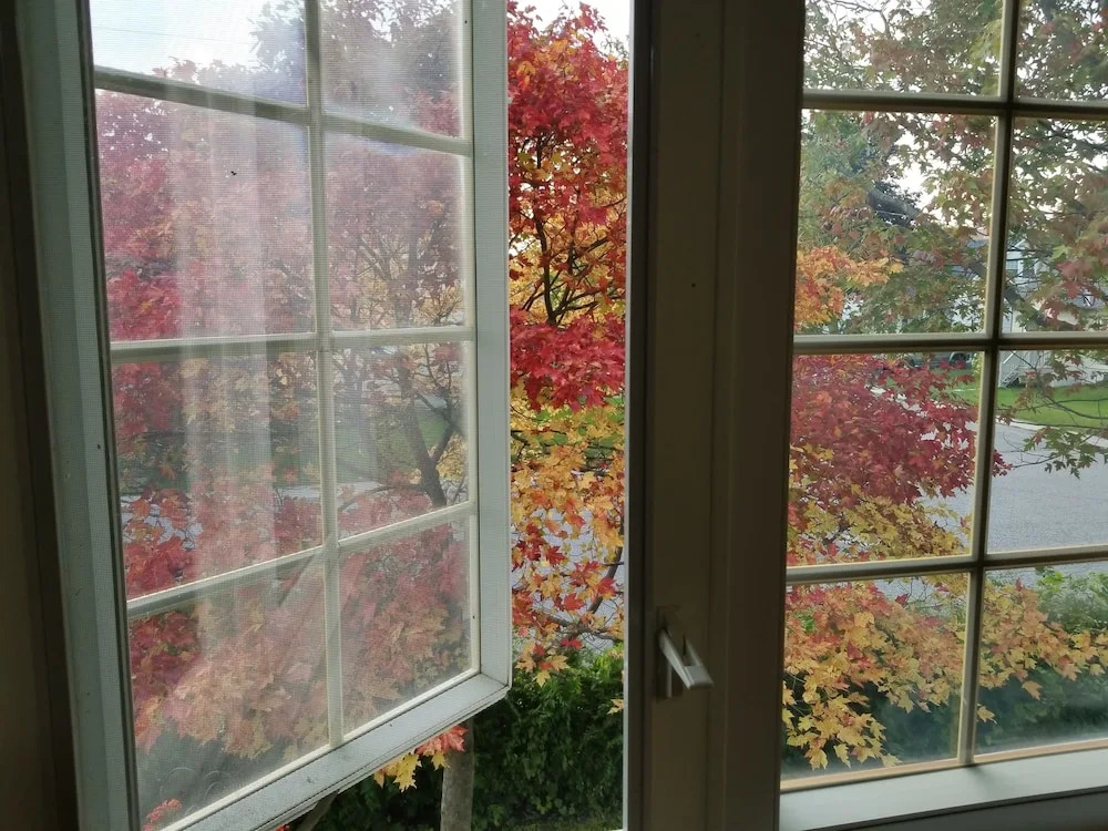 Cotufas 1 bedroom apartment - фото 9