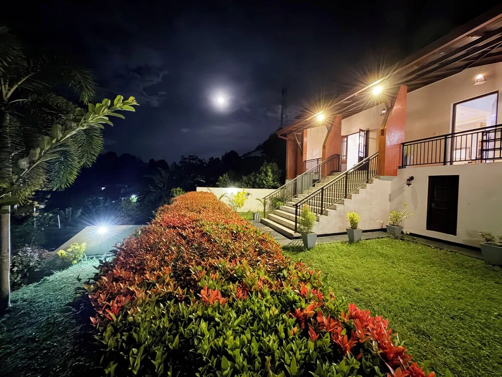 Albion Nest Galle