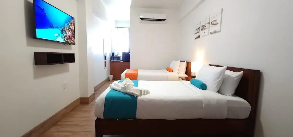 Deluxe Double room (twin beds)
