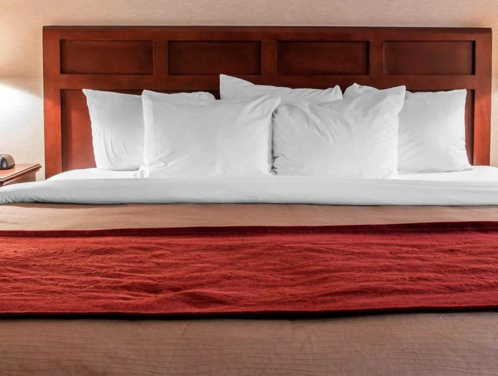 Wingate by Wyndham Livonia - Chambres