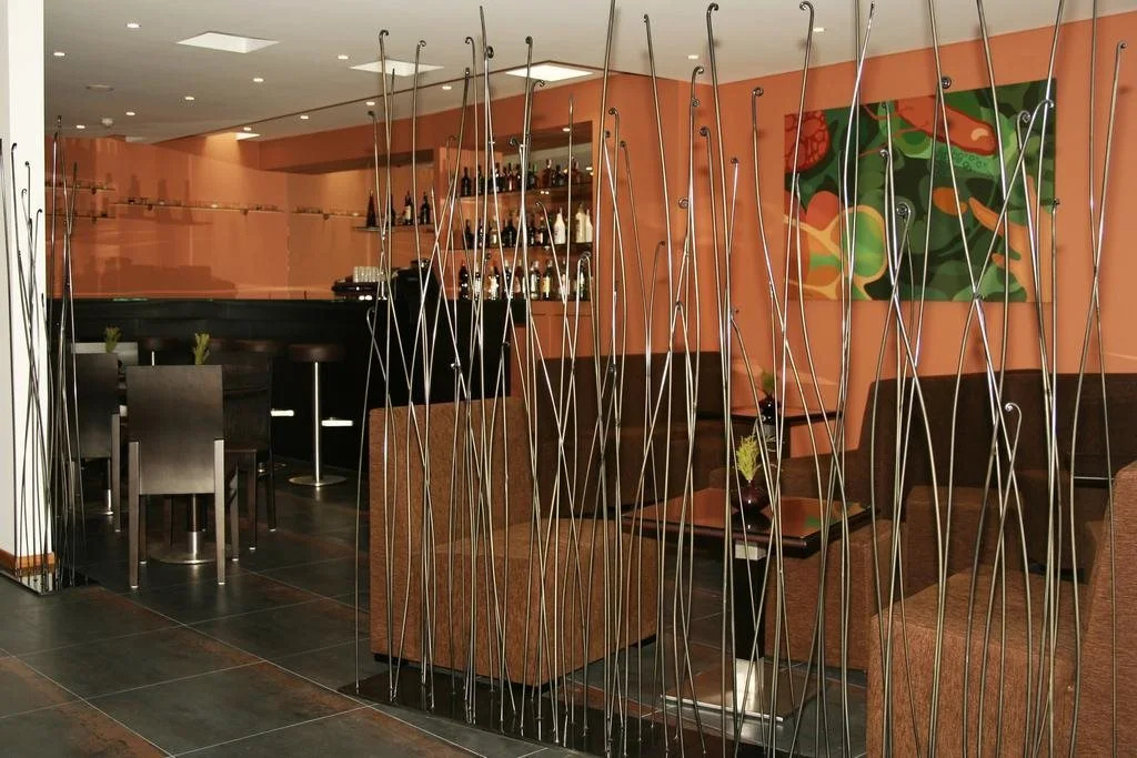 Santo Thyrso Hotel - Général