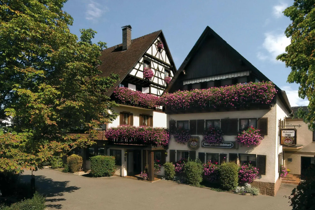 Hotel - Landgasthof Rebstock - Général