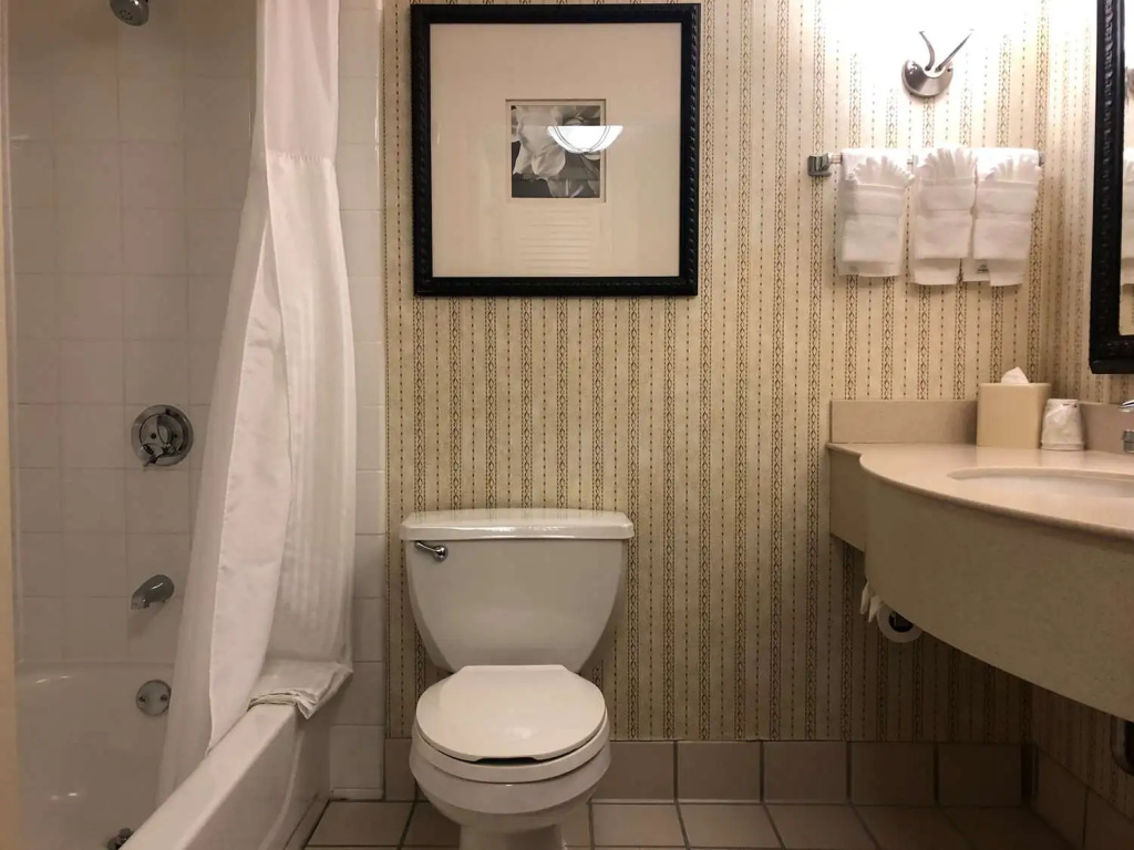 Hilton Garden Inn Addison - Général