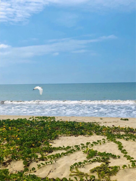 Hospedaje 1249 - фото 8