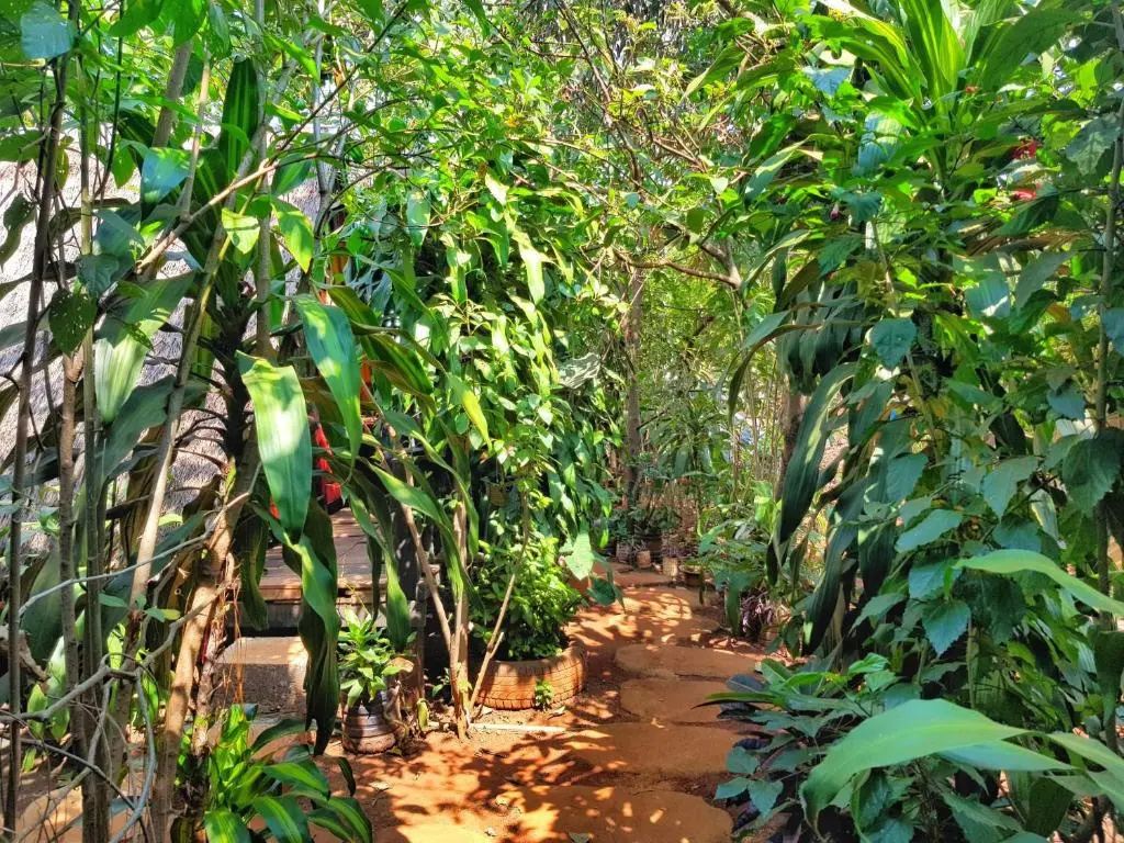Ratanakiri Homestay