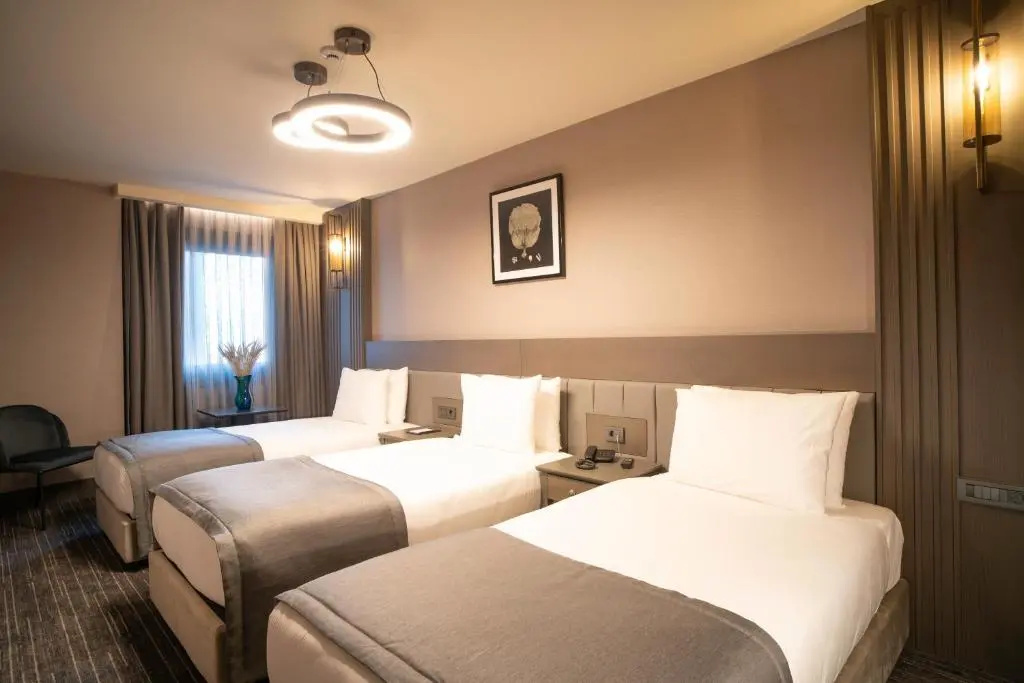Arts Taksim Hotel - Chambres