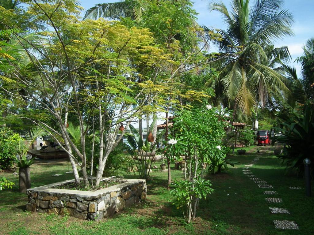 Coconut Island