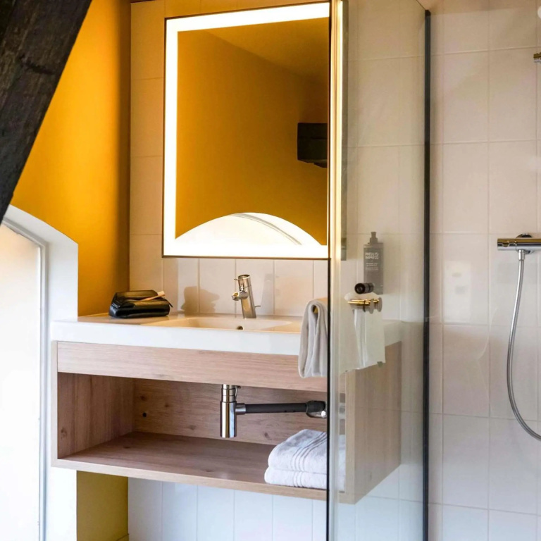 ibis Styles Colmar Centre - Général