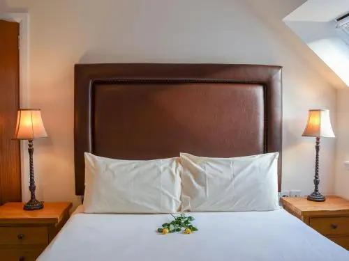 The Willows — фото 6