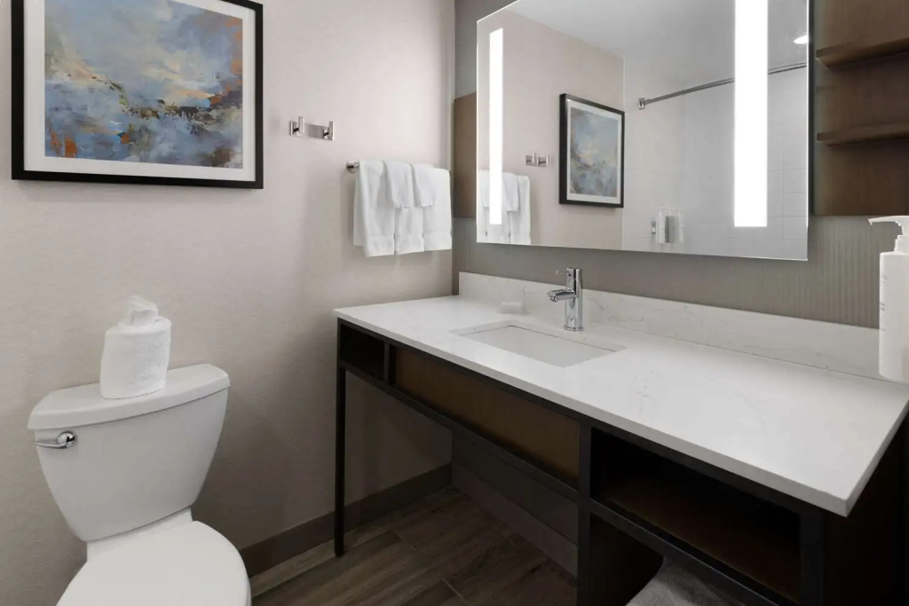 Hilton Garden Inn Winston-Salem/Hanes Mall - Général