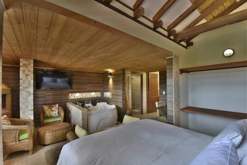 Hotel Campanario de la Villa - Général