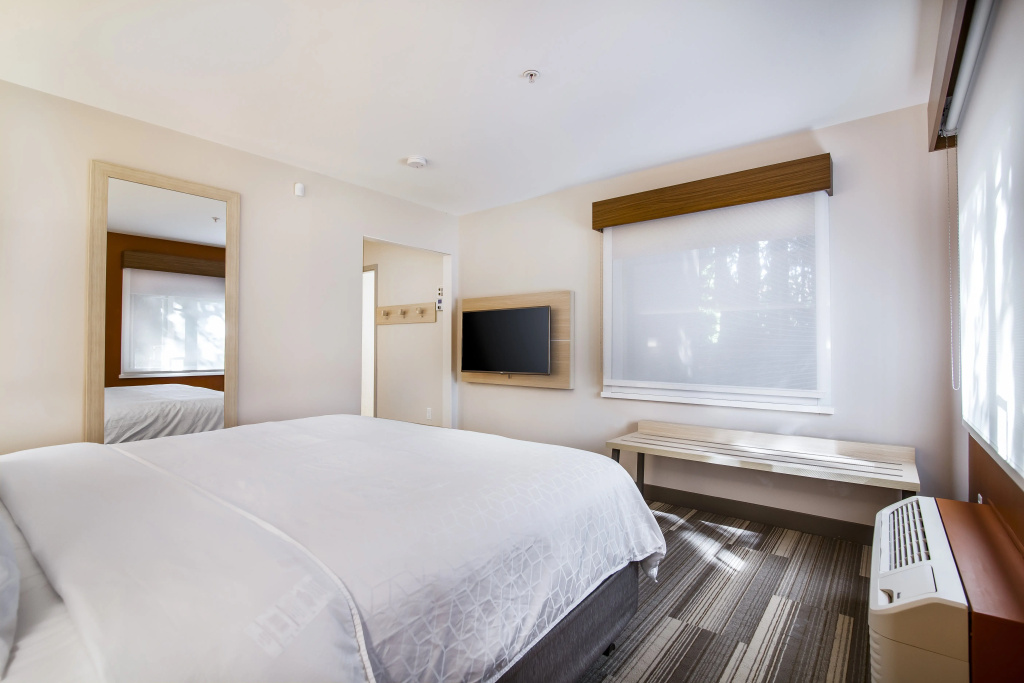 Holiday Inn Express & Suites Langley by IHG - Général