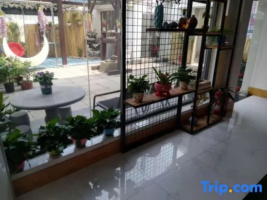 Balcony & Terrace