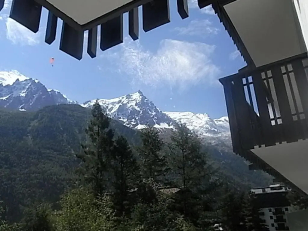 Afficher la photo 8 — Appartement Chamonix-Mont-Blanc, 1 pièce, 3 personnes - FR-1-517-27