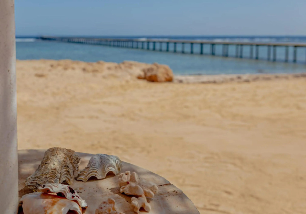 Silver Beach Boutique Hotel - фото 31