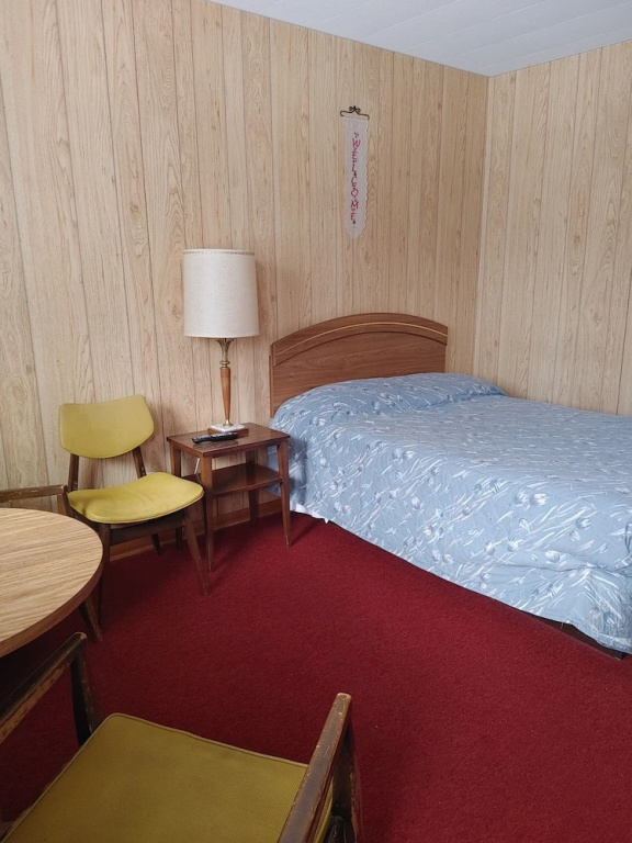 Standard Single room with mountain view