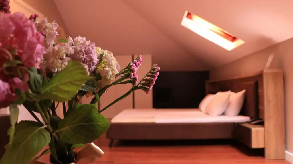 Hotel Domus - Chambres