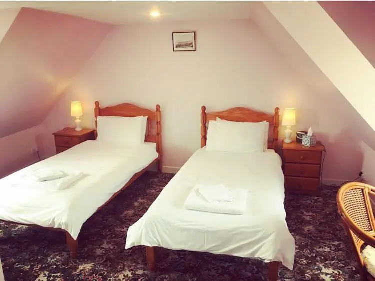 Standard Double room (twin beds)
