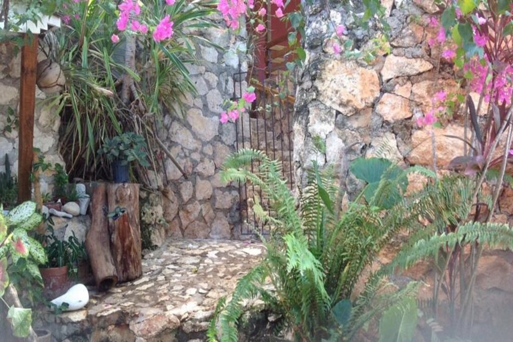 Image 10