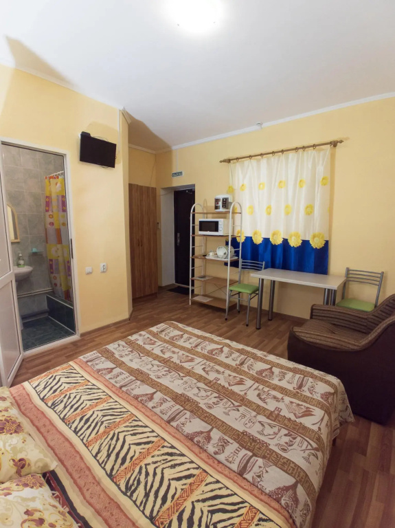 Standard Double room (full double bed)