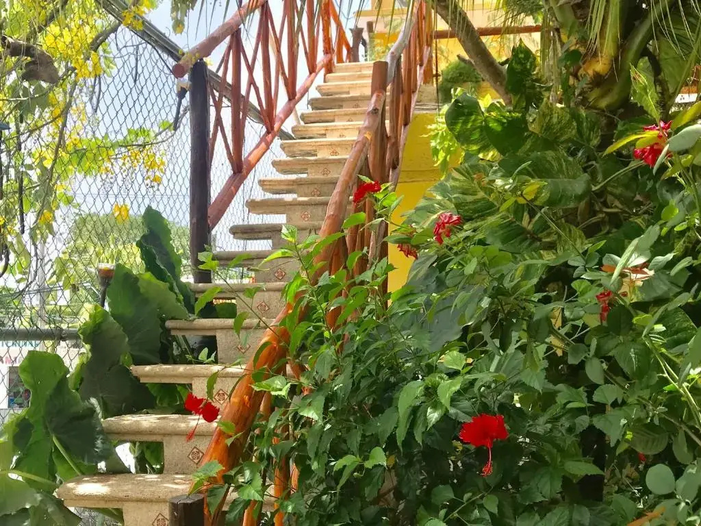 Maison Tulum - 2
