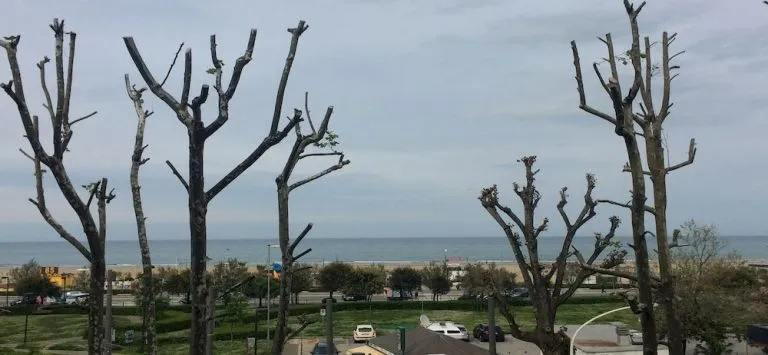 Beach & Waterfront