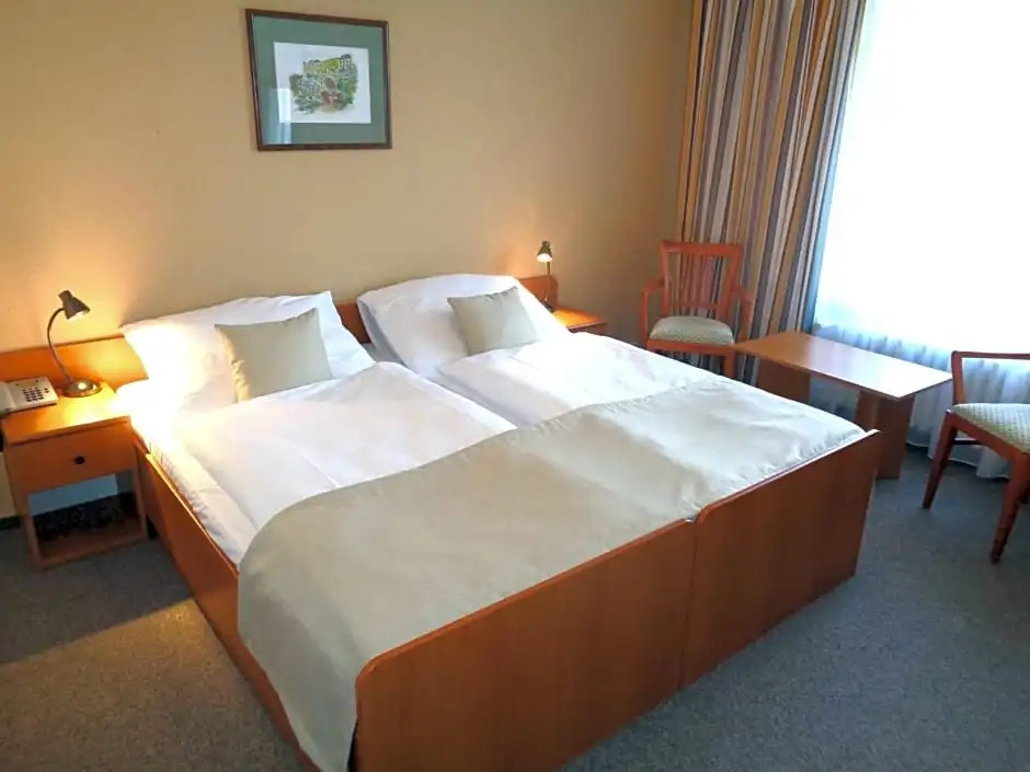 Spa Hotel Devin - Chambres