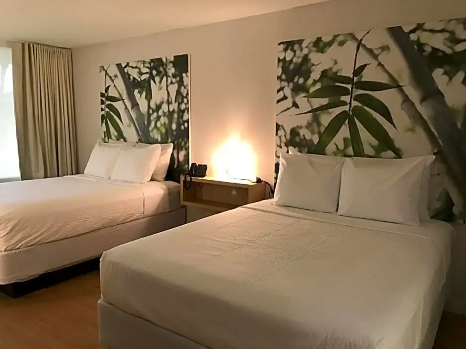 GreenPoint Hotel Kissimmee - Chambres